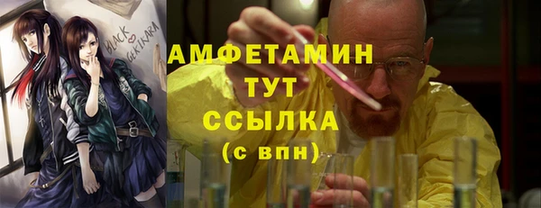 индика Гусь-Хрустальный