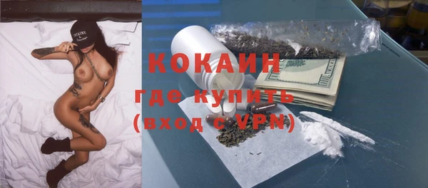соль ск Ельня