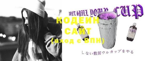 Альфа ПВП Дмитриев