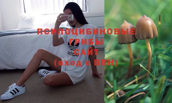 твердый Гусев