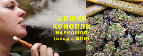 Альфа ПВП Дмитриев