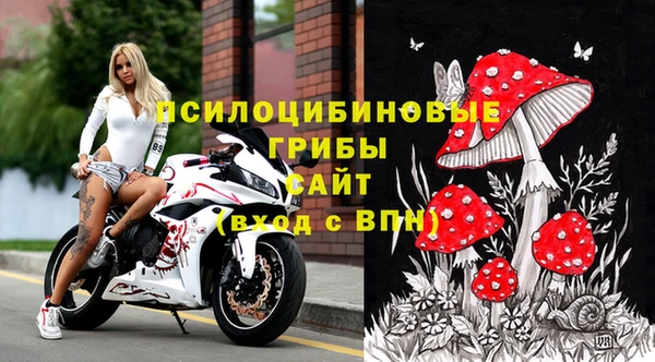 Альфа ПВП Дмитриев