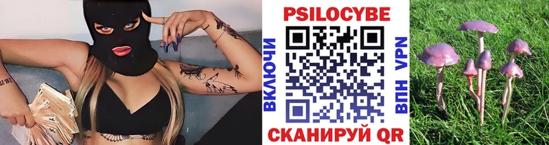 что такое наркотик  Ревда  Псилоцибиновые грибы Psilocybe 